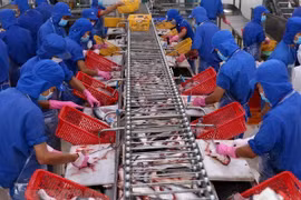 越南努力提高水产品在中国的市场参透率