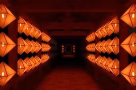 灯光秀的梦幻世界。图自越通社