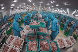 星梅集团查鱼鱼片加工出口。图自越通社
