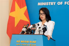 越南外交部发言人：越南坚定奉行“一个中国”政策