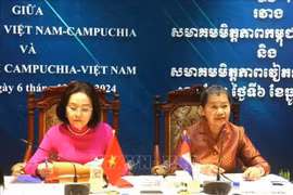 越通社驻柬埔寨记者报道，越共中央委员、越南国会副主席、越柬友好协会主席阮氏清和柬埔寨国王最高顾问、柬埔寨人民党副主席、柬埔寨祖国团结发展阵线国家委员会主席、柬越友好协会主席梅森安主持会议。图自越通社