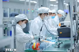 附图 图自越通社