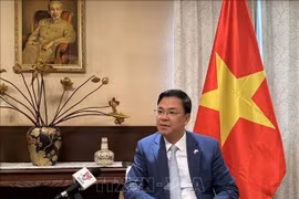 越南驻日本大使范光效接受越通社记者的采访。图自越通社