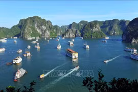 充分挖掘世界遗产价值 推动旅游业可持续发展