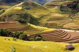 使梯田旅游成为西北地区的特殊旅游产品