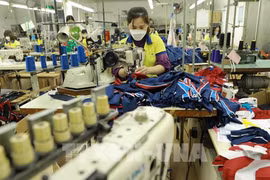 迈向绿色经济的突破性政策