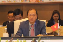 “在动荡时期中维持和平：面向一个更具适应性和韧性的地区”的国际研讨会在河内召开