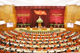 越共第十二届中央委员会第十次全体会议在河内隆重开幕（组图）