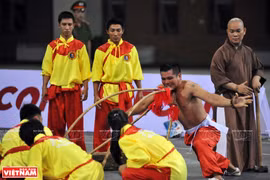 越南武术精粹（组图）