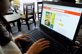 2025年越南互联网经济规模约达490亿美元