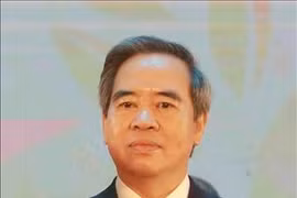 越通社简讯2020.11.8