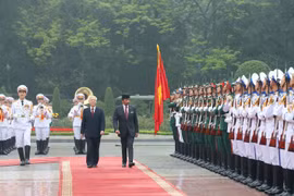 文莱达鲁萨兰国苏丹哈吉•哈桑纳尔•博尔基亚对越南进行国事访问（组图）