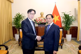积极发挥越韩副外长级对话机制的作用