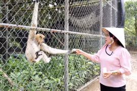 幽冥上国家公园开发颇具吸引力的旅游类型和产品