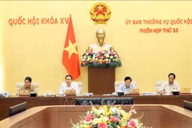 国会常务副主席陈青敏在会上发言。图自越通社