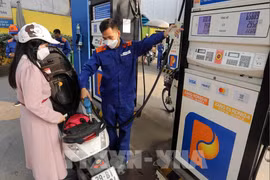 资料图。图自越通社