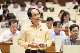 河内国会代表发表讲话。图自越通社