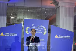 越南驻美大使阮国勇发表讲话。图自越通社