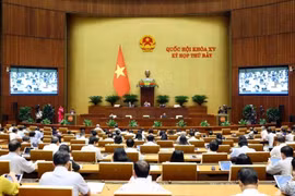 会议场景。图自越通社