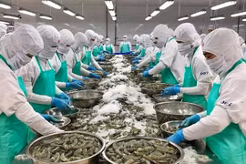 2024年头 5个月越南水产品出口额达36亿美元。图自互联网