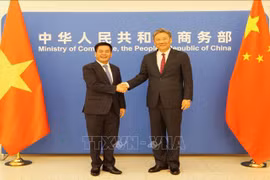越南工贸部部长阮鸿延和中国商务部部长王文涛。图自越通社