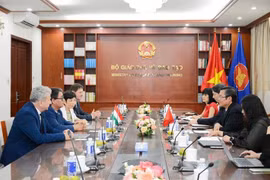 越南教育与培训部领导会见匈牙利代表。图自Vietnam+