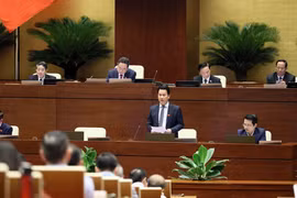 自然资源与环境部部长邓国庆发表讲话。图自越通社