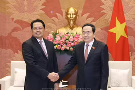 越南国会主席陈青敏会见印度尼西亚参议院副主席马胡丁。图自越通社