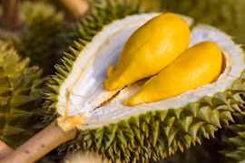 资料图。图自互联网