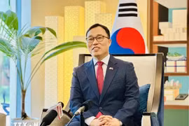 韩国驻越南特命全权大使崔泳杉。图自越通社