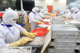资料图。图自互联网