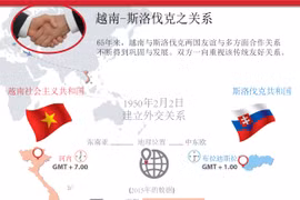 越南-斯洛伐克之关系。