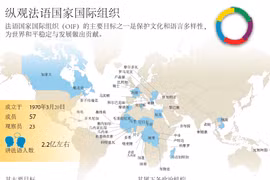 纵观法语国家国际组织