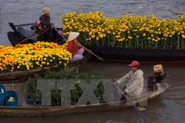 芹苴市旅游业将集中开发特色旅游产品