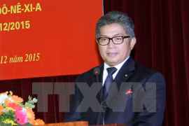 印度尼西亚驻越南大使Mayerfas。（图片来源：越通社）