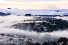 大叻郊区早霜（图片来源：越南边防报）