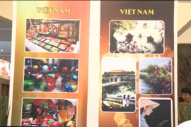 第31届印尼贸易博览会：越南企业考察印尼市场的良机