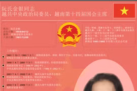 越南第十四届国会主席阮氏金银简历。