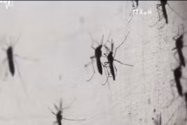 缅甸现首例寨卡病毒感染病例