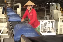 2016年前10个月越南大米出口量达420万吨