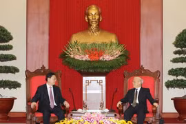 阮富仲总书记会见中国全国人大常委会委员长张德江。（图片来源：越通社）