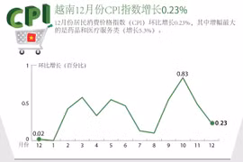 越南12月份CPI指数增长0.23%
