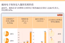 越南电子商务迈入蓬勃发展阶段。