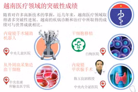 越南医疗领域的突破性成绩。