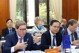 欧洲委员会：将促进解决越南渔业“黄牌”警告问题