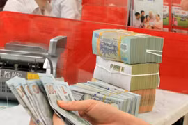 25日越盾兑美元中心汇率保持不变