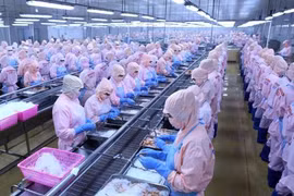 越南虾类产业充分利用深加工优势