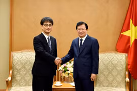 郑廷勇：全力解决日本投资的电力BOT项目实施过程中遇到的困难