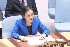 越南强调以和平措施解决争端的义务