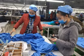 越南有机会与欧盟尽早签署自贸协定